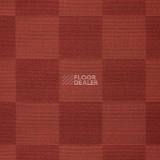Ковролин Carpet Concept Sqr Nuance Square 20 Terra фото 1 | FLOORDEALER